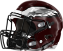 Chestatee War Eagles Helmet Left