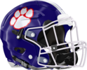 Dunwoody Wildcats Helmet Right