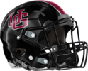 Union Grove Wolverines Helmet Right