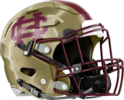 Christian Heritage Lions Helmet