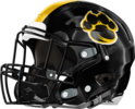 Claxton Tigers Helmet