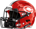 Clinch County Panthers Helmet