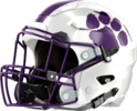 Darlington Tigers Helmet