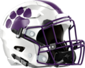 Darlington Tigers Helmet