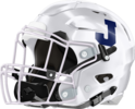 Jenkins County Eagles Helmet