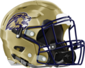 Loganville Christian Lions Helmet