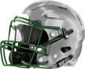 Pataula Charter Panthers Helmet