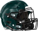 Terrell County Greenwave Helmet