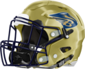Brantley County Herons Helmet Left