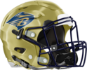 Brantley County Herons Helmet Right