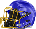 Central, Talbotton Hawks Helmet Left