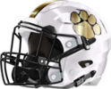 Chattahoochee County Panthers Helmet Left