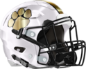 Chattahoochee County Panthers Helmet Right