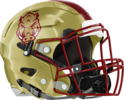 Cross Creek Razorbacks Helmet Right