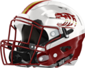 Dawson County Tigers Helmet Left