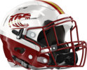 Dawson County Tigers Helmet Right