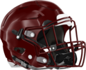 Dooly County Bobcats Helmet Right