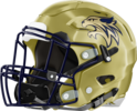 Early County Bobcats Helmet Left