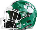 Franklin County Lions Helmet Left