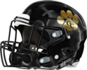 Greene County Tigers Helmet Left