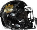 Greene County Tigers Helmet Right