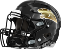 Liberty County Panthers Helmet Left
