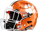 Metter Tigers Helmet Left