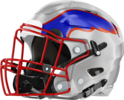 Montgomery County Eagles Helmet Left