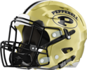 Pepperell Dragons Helmet Left