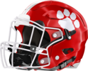 Rabun County Wildcats Helmet Left