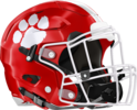 Rabun County Wildcats Helmet Right