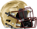 Salem Seminoles Helmet Right