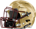 Salem Seminoles Helmet Left