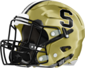 Swainsboro Tigers Helmet Left