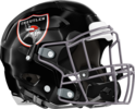 Treutlen Vikings Helmet Right