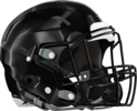 Twiggs County Cobras Helmet Right