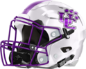 Union County Panthers Helmet Left