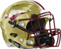 Vidalia Indians Helmet Right