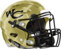 Washington County Golden Hawks Helmet Right