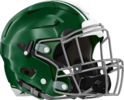 Westminster Wildcats Helmet Right