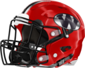 Wheeler County Bulldogs Helmet Left