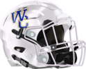 Wilcox County Patriots Helmet Right