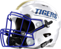 Bradwell Institute Tigers Helmet