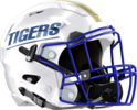 Bradwell Institute Tigers Helmet