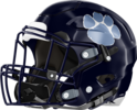 Camden County Wildcats Helmet