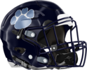 Camden County Wildcats Helmet