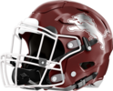 Central, Carroll Lions Helmet