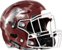 Central, Carroll Lions Helmet