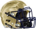 Dacula Falcons Helmet