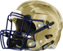 Dacula Falcons Helmet